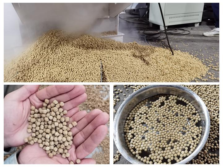 Brand new cattle feed pellet machine in Indonesia